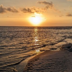 Meet your Posher, Elle